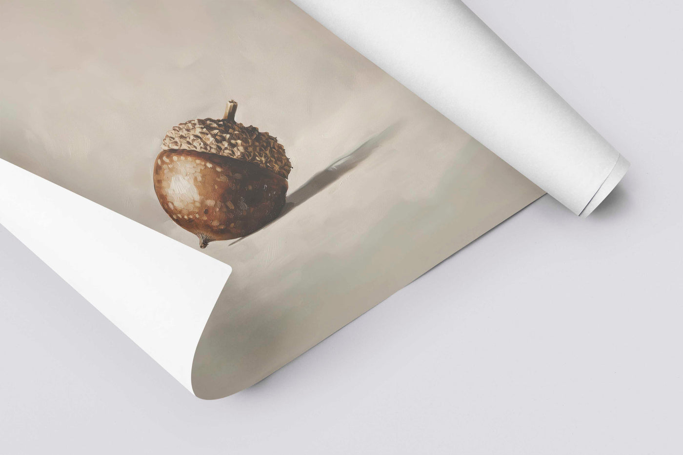 Acorn