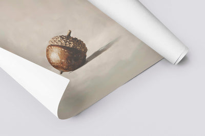Acorn