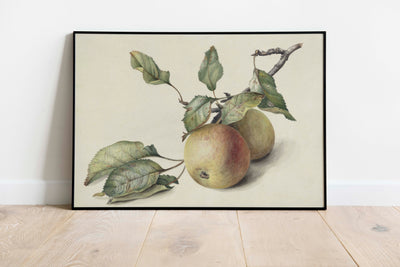Dutch Apple Branch Print