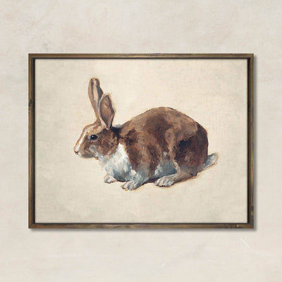 Dutch Bunny