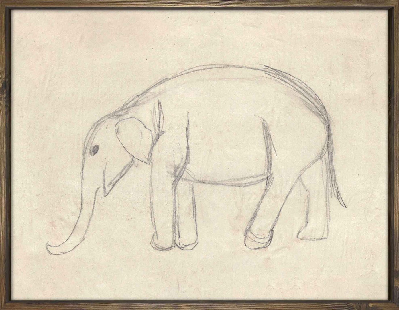 Elephant Sketch