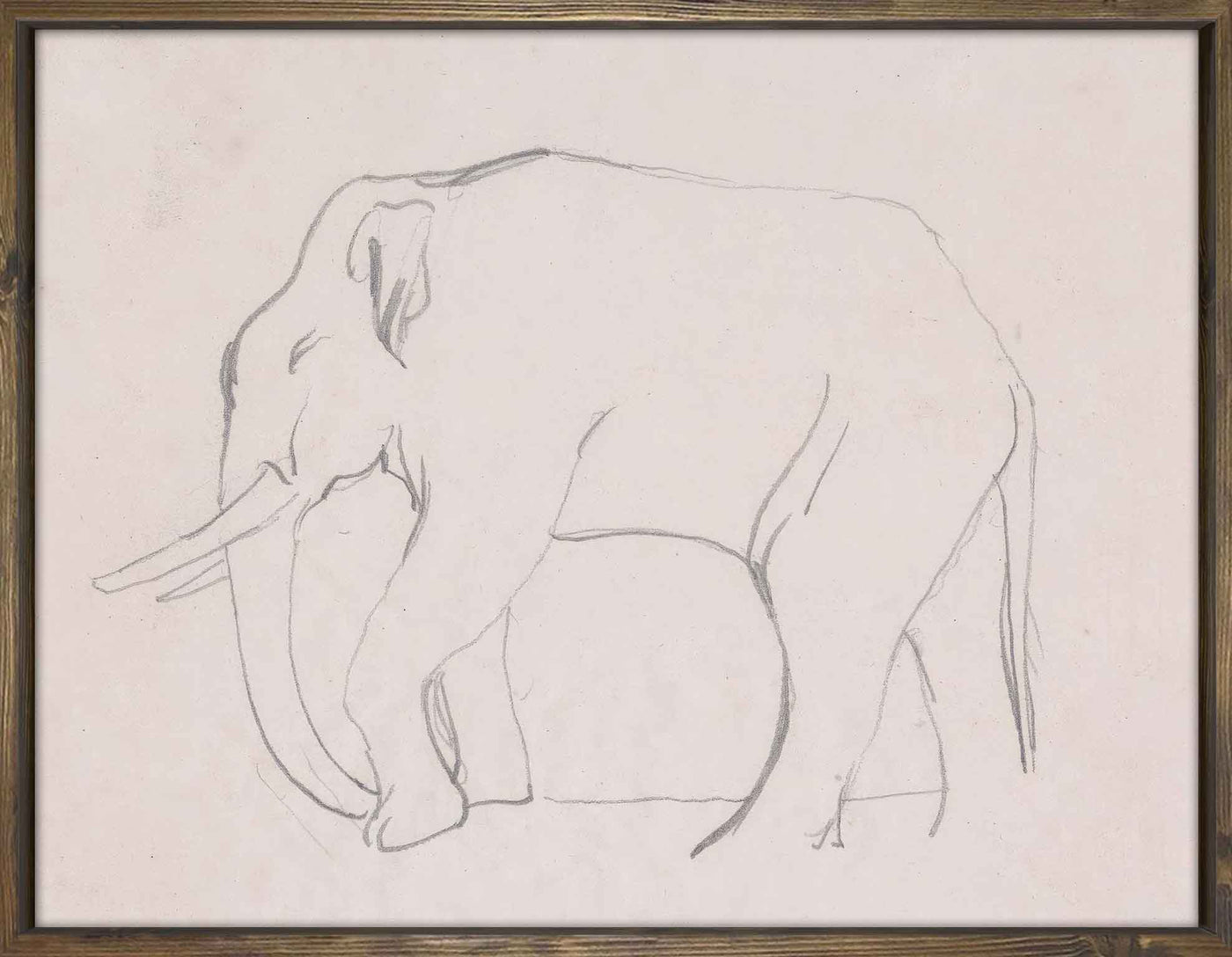 Elephant Walking Sketch