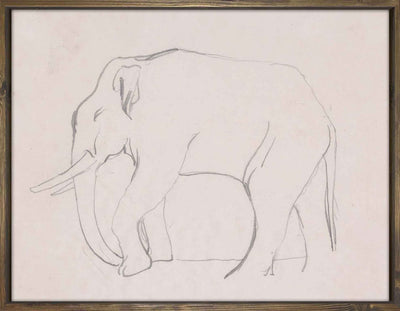 Elephant Walking Sketch