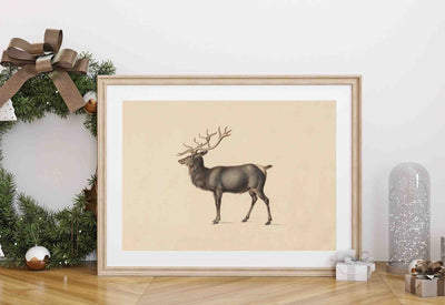 Elk Print