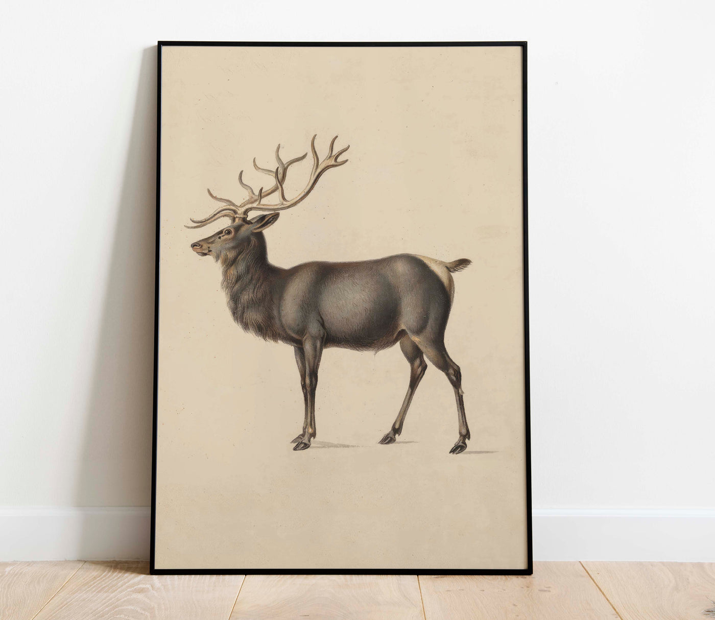Elk (vertical)