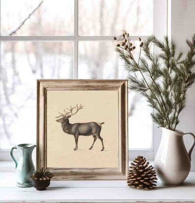 Elk (vertical)