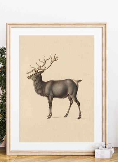 Elk (vertical)