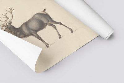 Elk (vertical)