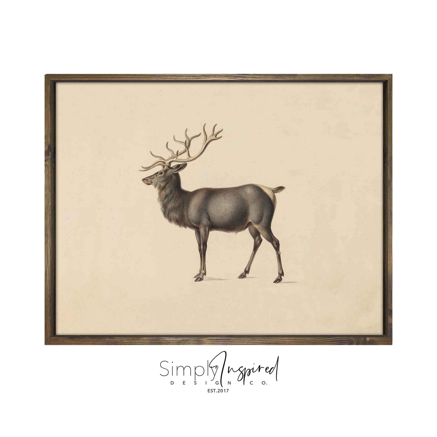 Elk
