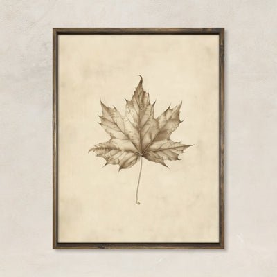 Fall Maple Leaf