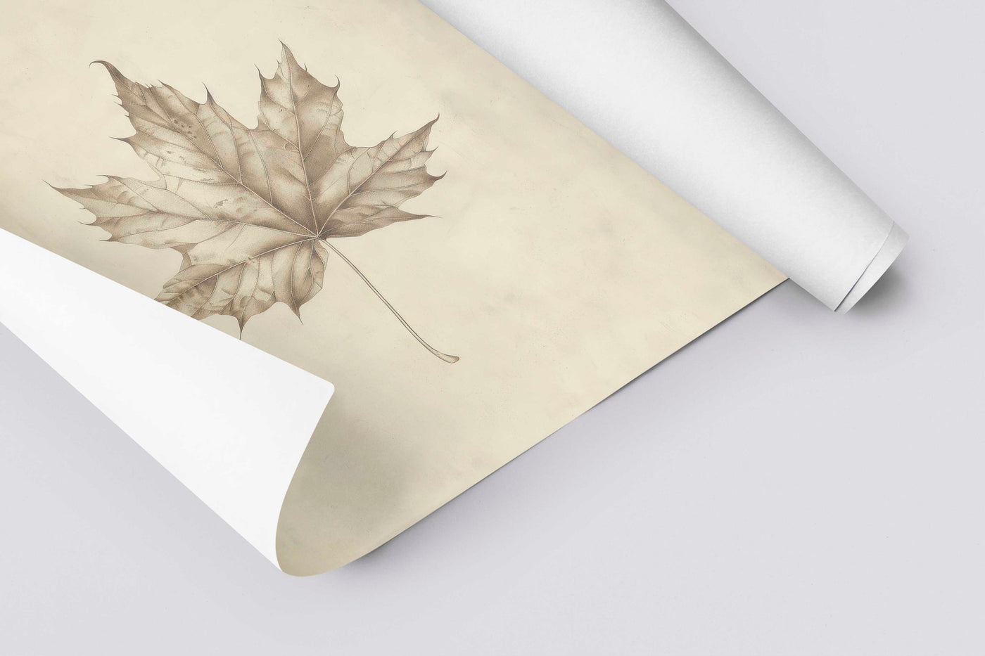 Fall Maple Leaf