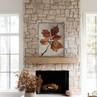 Neutral Canvas Framed Art - "Fallen Grace"