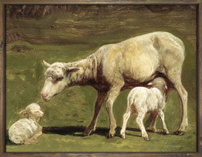 Feeding the Lambs