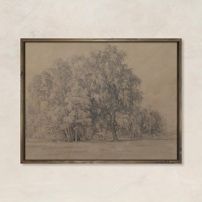 Grove of trees