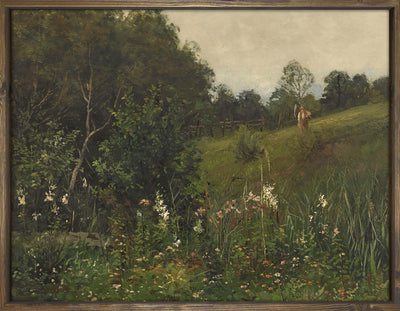 Hillside Landscape