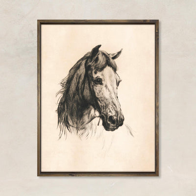 Horse Drawing
