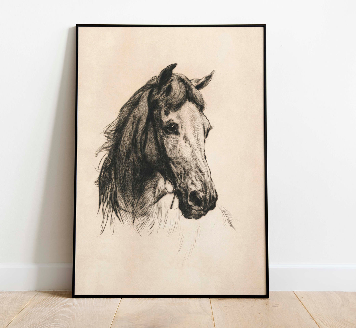Horse Drawing - DIGITAL