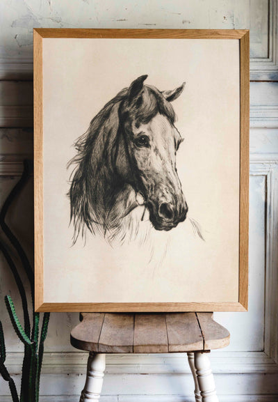 Horse Drawing - DIGITAL