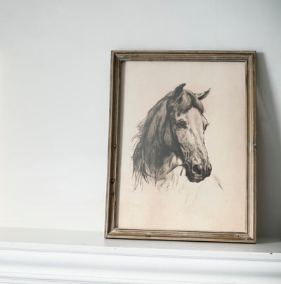 Horse Drawing - DIGITAL