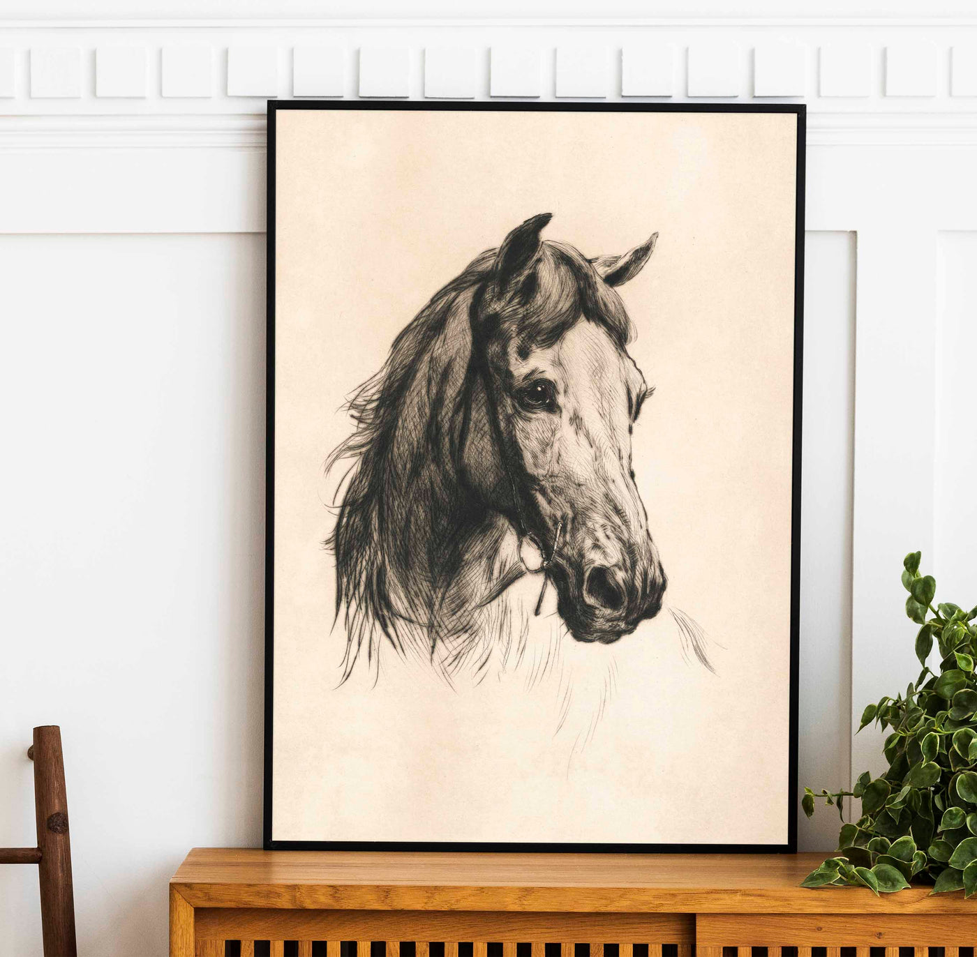 Horse Drawing - DIGITAL