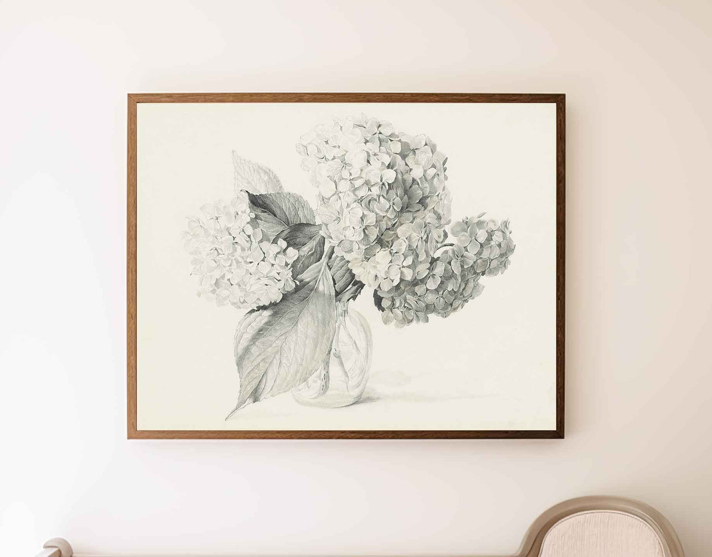 Hydrangea Sketch - DIGITAL