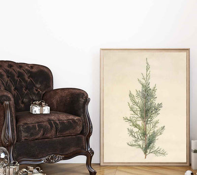Juniper Branch Print
