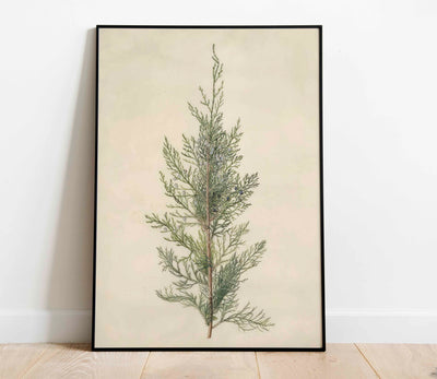 Juniper Branch Print