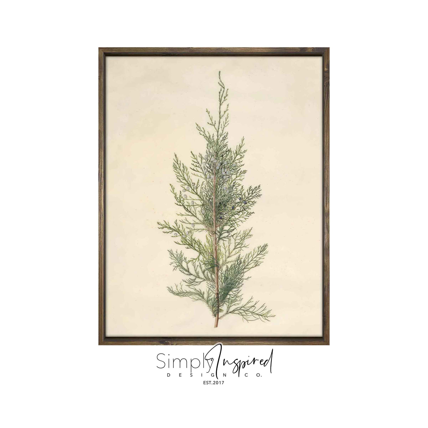 Juniper Branch