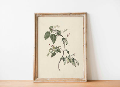 Nandina Berry Branch Print
