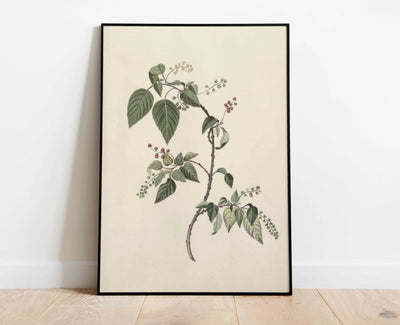 Nandina Berry Branch Print