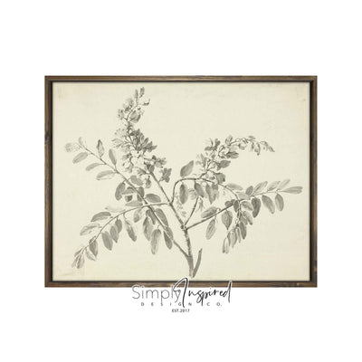 Neutral Branch