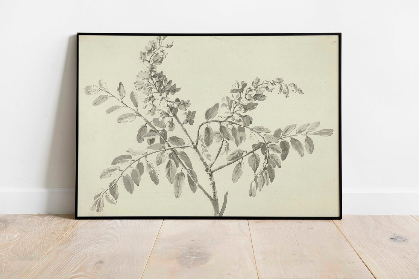 Neutral Branch - DIGITAL