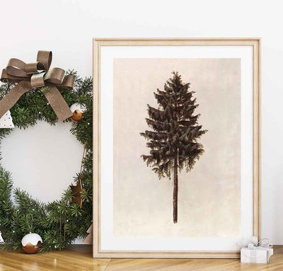 Pine Tree Print