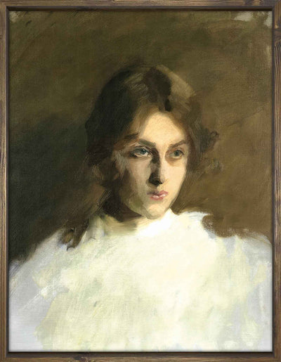 Portrait of a lady