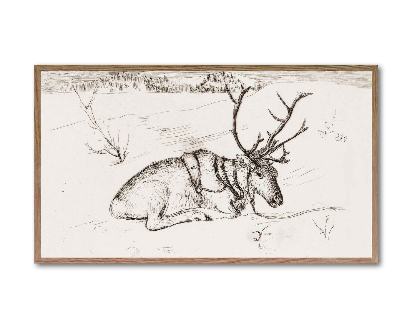 Resting Reindeer - DIGITAL