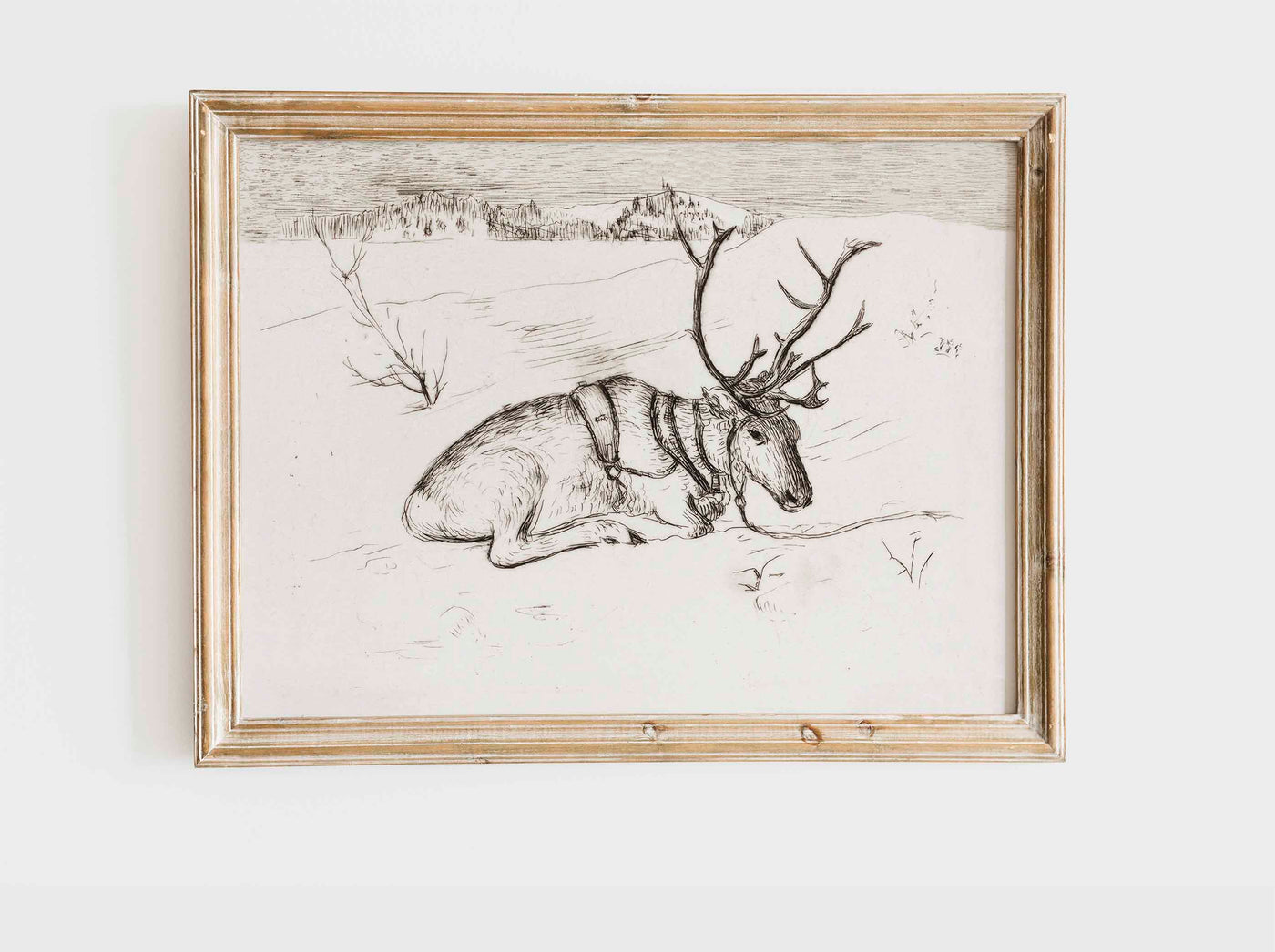 Resting Reindeer - DIGITAL