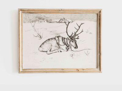 Resting Reindeer - DIGITAL