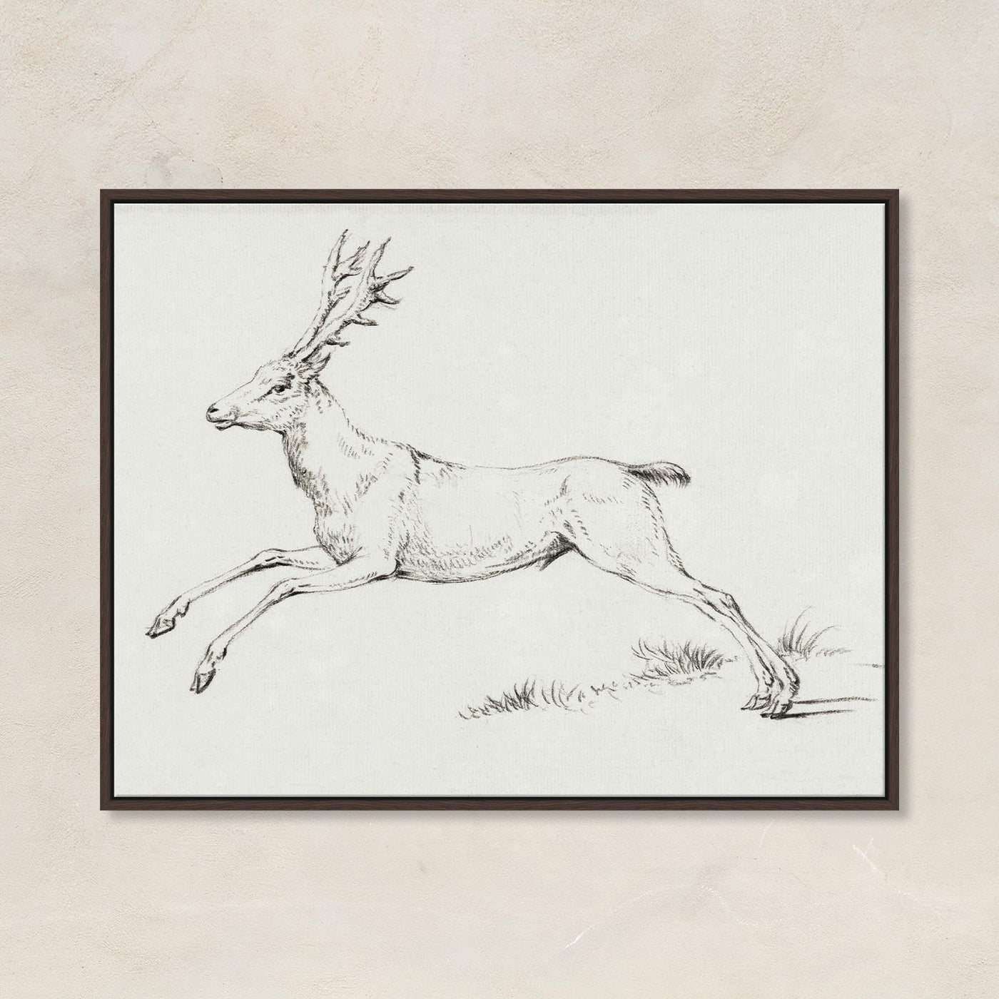 Reindeer Sketch