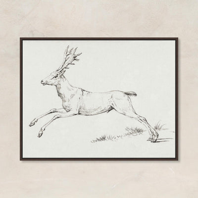 Reindeer Sketch