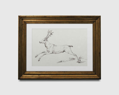 Reindeer Sketch Print