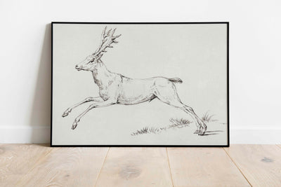 Reindeer Sketch Print