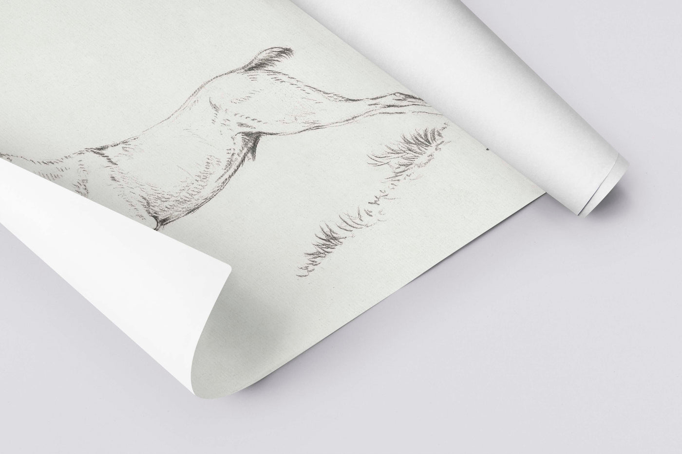 Reindeer Sketch