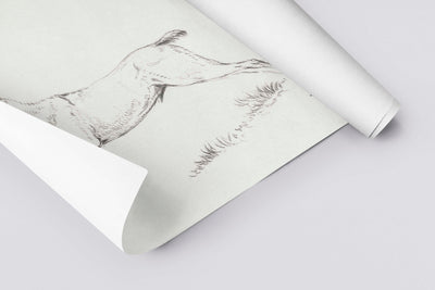 Reindeer Sketch