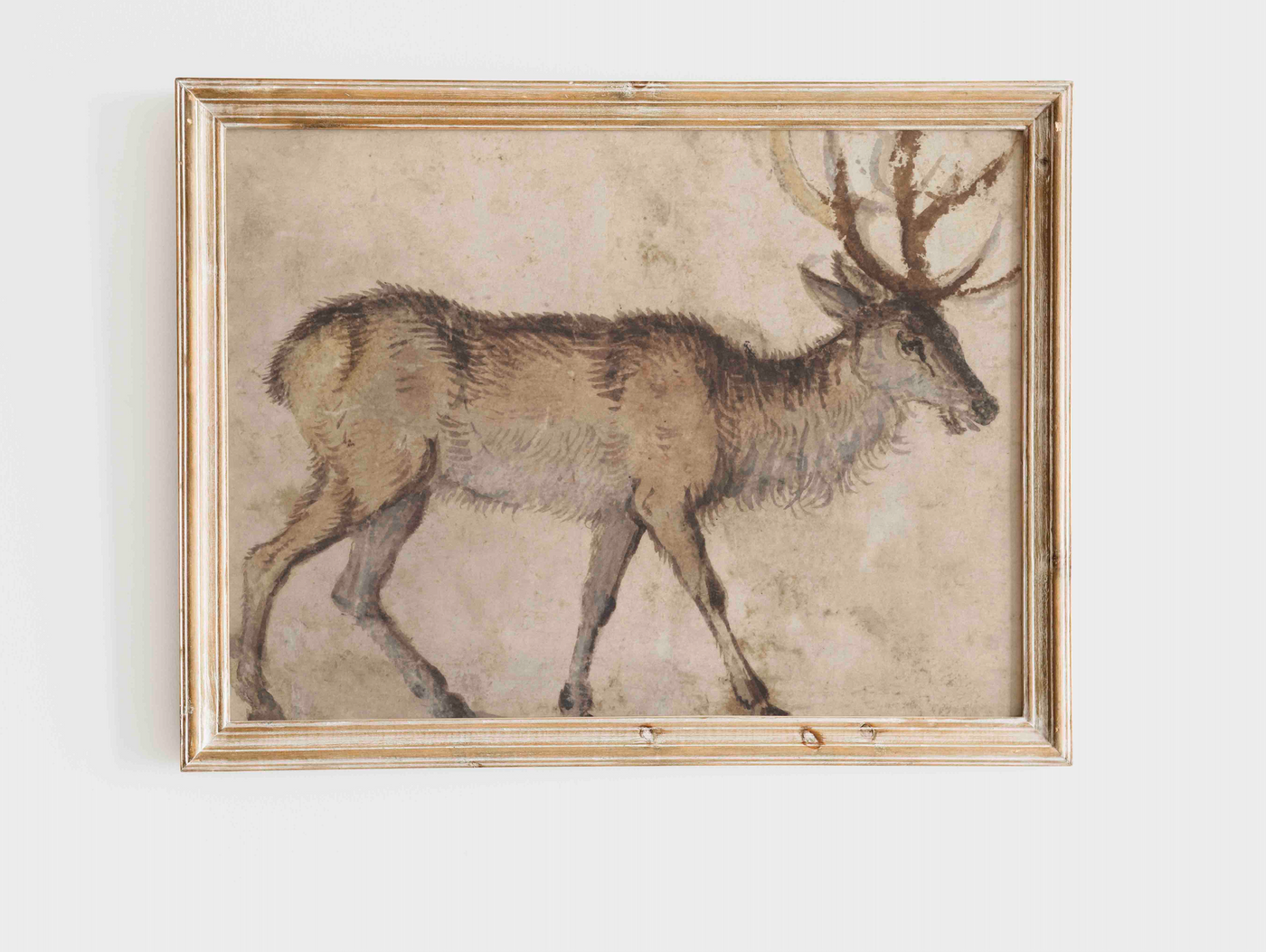 Comet the Reindeer Print