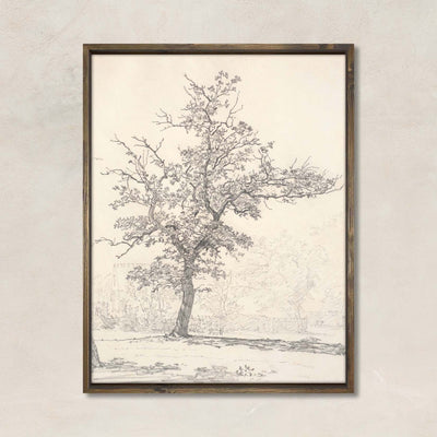 Study of Tree