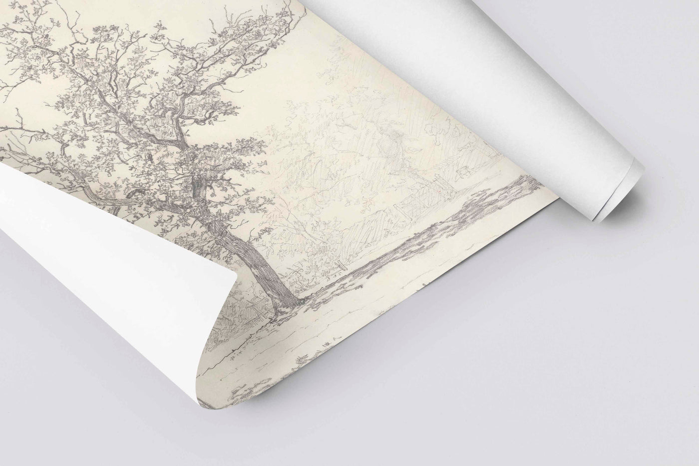 Study of Tree