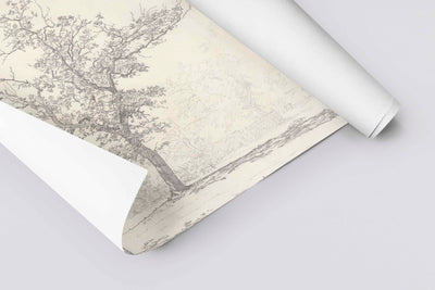 Study of Tree