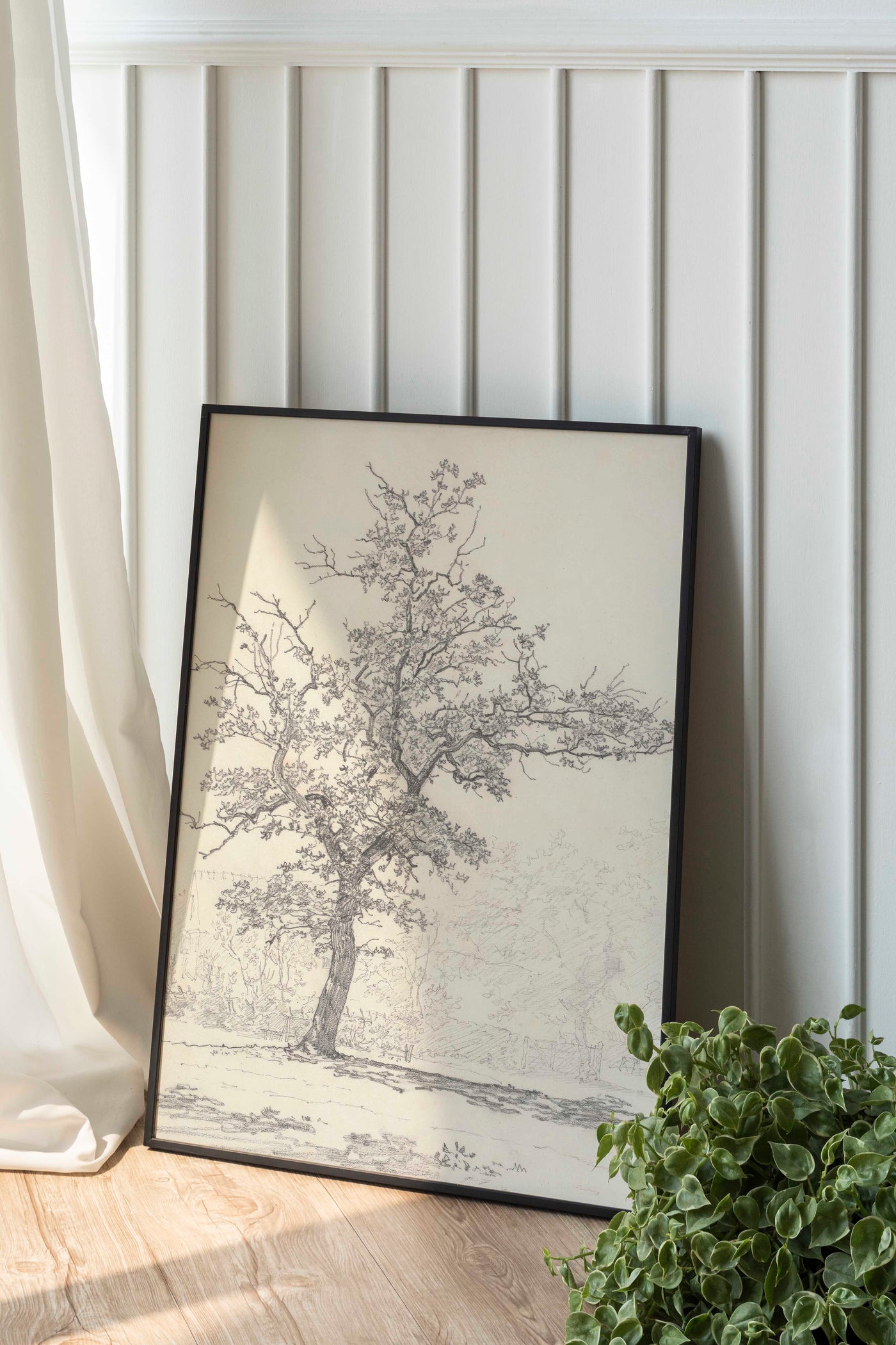 Study of Tree - DIGITAL