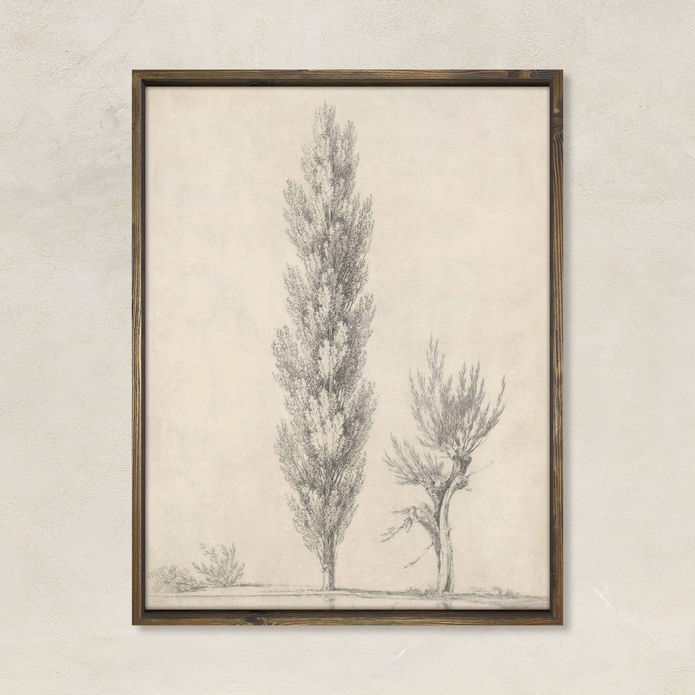 Study of a tree