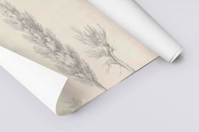 Study of a tree